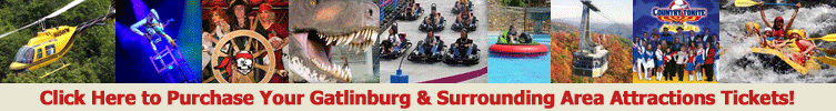 Diamond Rentals discount attraction tickets