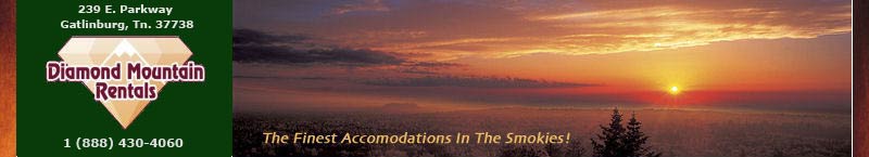 Smoky Mountain Cabin Rentals